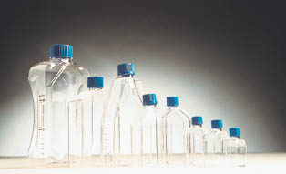 Tissue Culture Flasks, Sterile - 800 mL, Canted neck