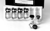 Coagulase (CoaguStaph) Plasma