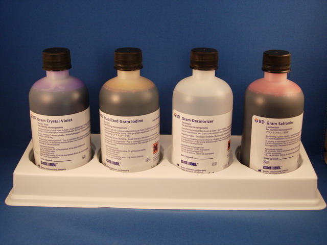 BBL Gram Stain Kits