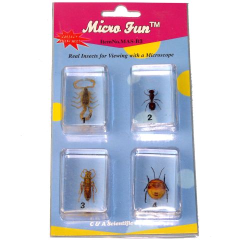Bug Blocks (Scorpion, Giant Ant, Wasp, Flower Bug)