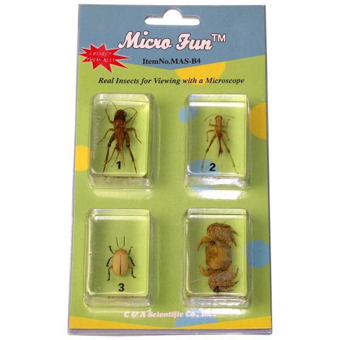 Bug Blocks (Cricket, Locust, Yellow Leaf Beetle, Crab)