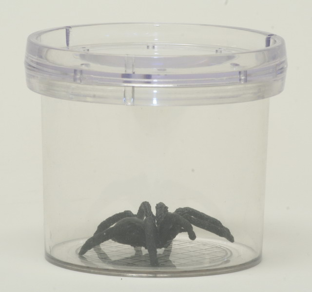 Critter Canister Bug Viewer