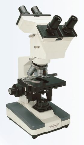 Dual View Microscope