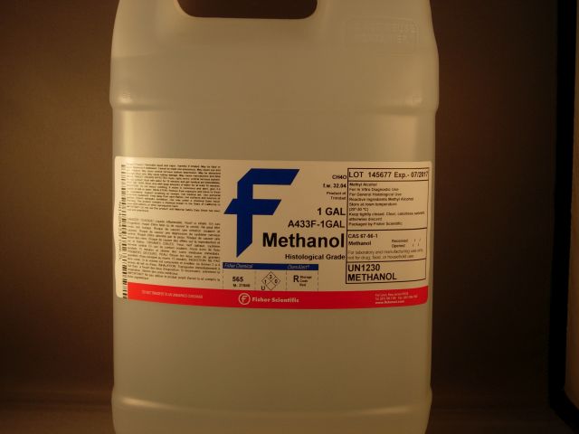 Methanol S/P 1 Gallon