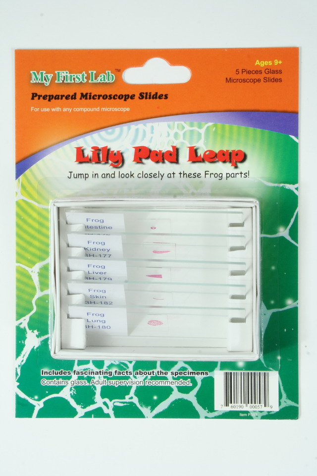 Lily Pad Leap Prepared Slide Mini Set
