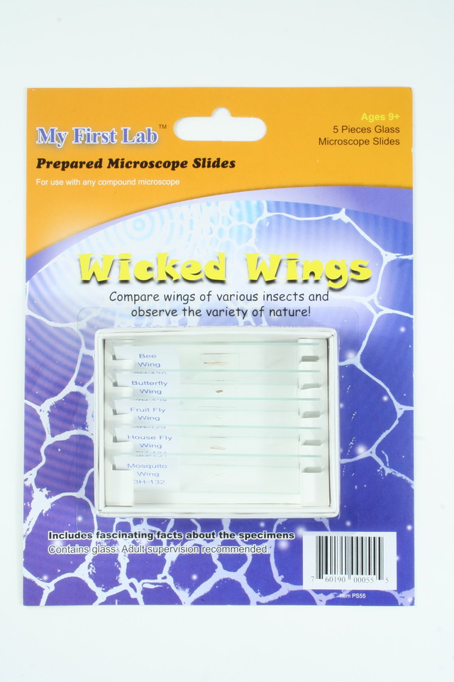 Wicked Wings Prepared Slide Mini Set