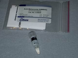 anti-Melanoma, HMB45