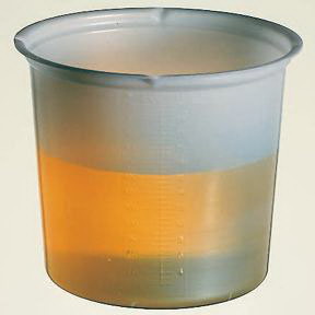 Graduated Polystyrene Beaker, 800mL