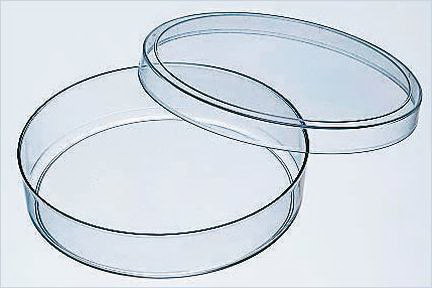 Extra-Deep Disposable Petri Dishes, 100 x 25mm (Vented)