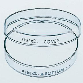 Corning* PYREX* Brand Reusable Petri Dishes (Complete; 100 dia. x 20mmH)