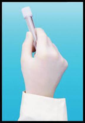Gloves,Vinyl, Medical Exam - Medium