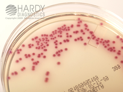 HardyCHROM� Salmonella