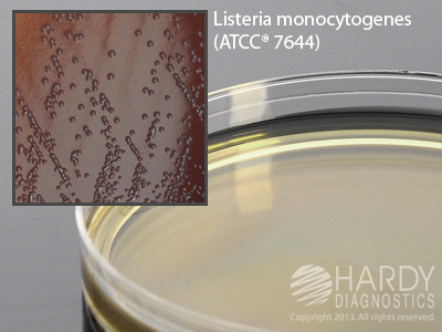 Oxford Medium, Modified, for Listeria