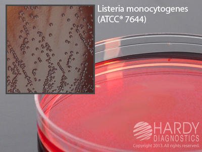 PALCAM 15x100mm Plate