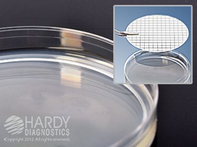 Potato Dextrose Agar with TA