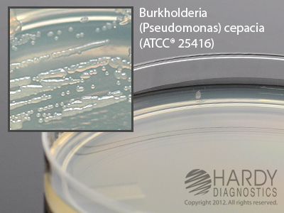 Pseudomonas Isolation Agar 18mL