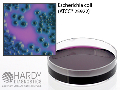 mFC Media w/1% Rosolic Acid 15x60mm plate