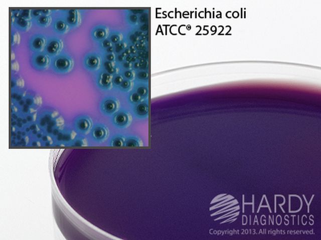 mFC Media w/1% Rosolic Acid 15x100mm plate