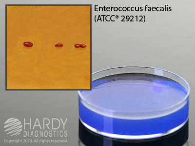 KF Streptococcus Agar