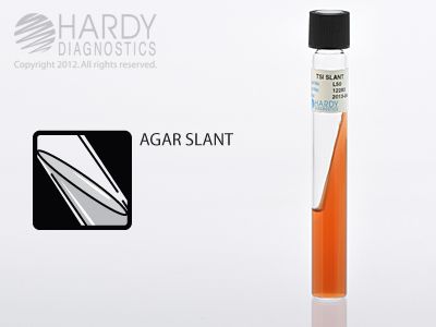 TSI Agar Slant