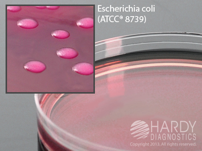 Violet Red Bile Agar w/Glucose