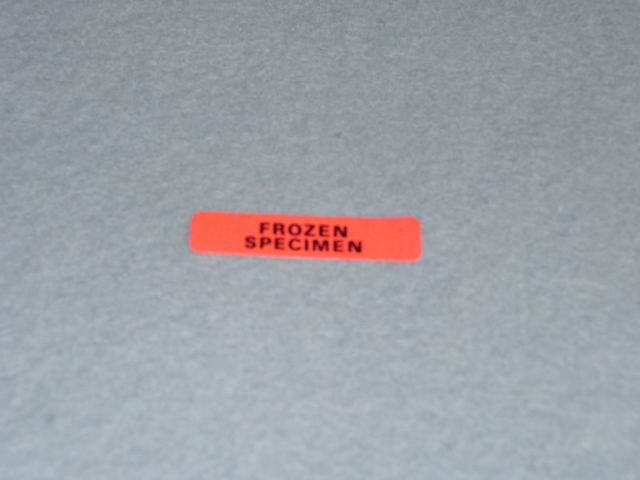 Label, 'Frozen Specimen'