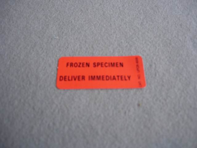 Label, 'Frozen Specimen/Immediate Delivery(1''x2.25'')