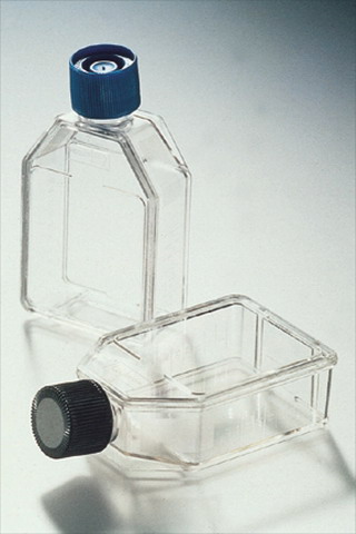 Tissue Culture Flask - 600 mL.