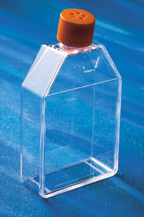 Tissue Culture Flask - 1,000 mL