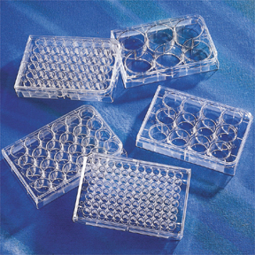 Multiple Well Plates, Sterile