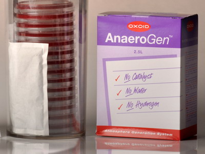 AnaeroGen, Anaerobic Gas Generator sachets for 2.5L Jar