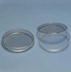 Petri Dish, Sterile - 100 x 15 mm
