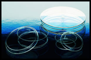 Petri Dish, Sterile  150 x 15 mm