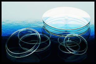 Petri Dish, Sterile 150 x 15 mm