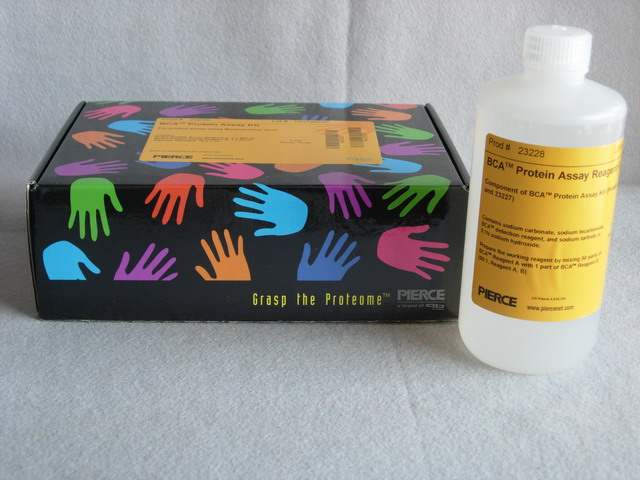 BCA Protein Assay Kit