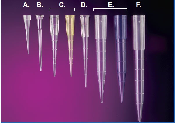1-300ul pipet tip, universal fit, graduated (50mm)