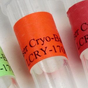 Cryo-Tags  (Orange)
