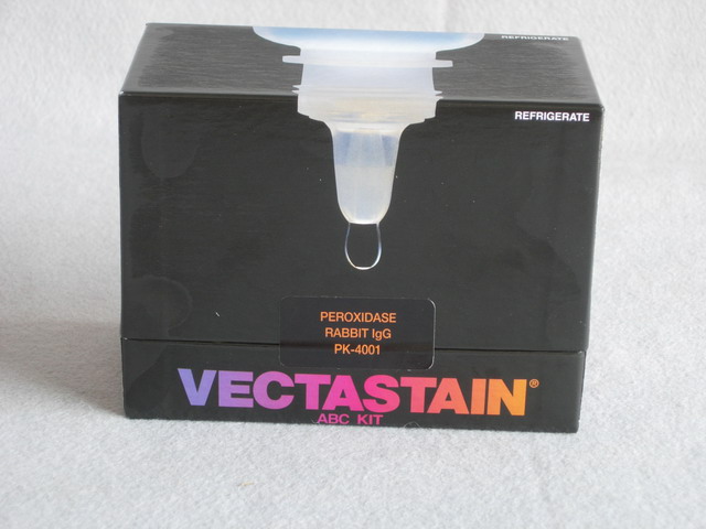 VECTASTAIN ABC Kit (Rabbit IgG )