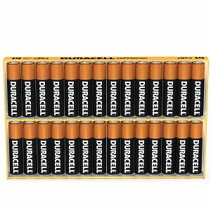 Duracell AAA size Alkaline Battery (Bulk)