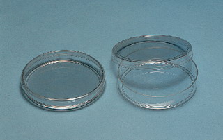 BD Falcon* Disposable Petri Dishes, Sterile, 35x10mm