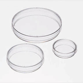 Disposable Sterile Petri Dishes - 35 x 10 mm