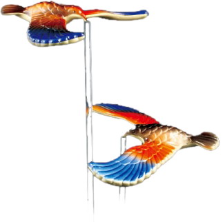 Balance Bird