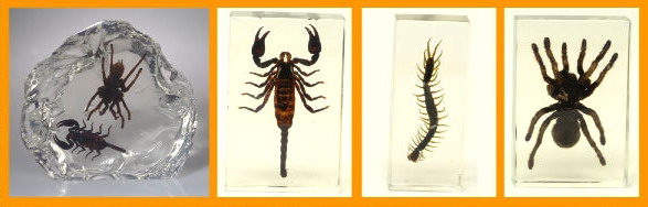 Buggin-Out - Decorative Blocks, Giant Spider
