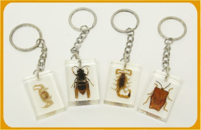 Buggin-Out - Key Chain, Spider