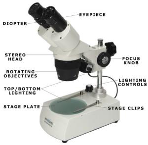 Stereo Microscope 1X/3X