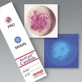  BactiCard* Candida Kit (Remel)