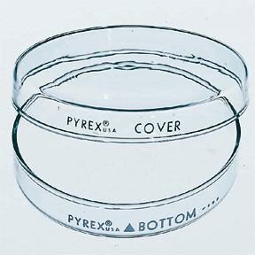 Corning* PYREX* Brand Reusable Petri Dishes, 100 dia. x 10mmH