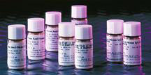 Goat anti Rabbit IgG-AP 1.0mL