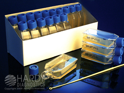 BHI Agar With Chloramphenicol & Cycloheximide