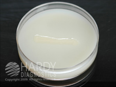Casein Agar